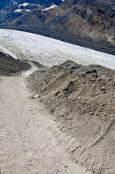 The Athabasca Glacier